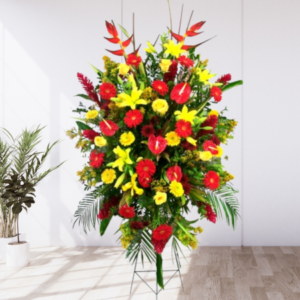 CORPORATIVOS Y EMPRESAS