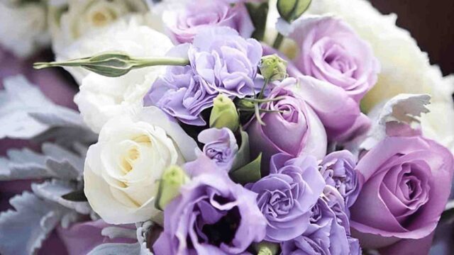 PROLONGAR LA DURACIÓN DE VIDA DE LAS FLORES