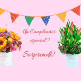 Arreglos de Cumpleaños