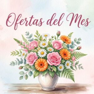 OFERTAS DEL MES